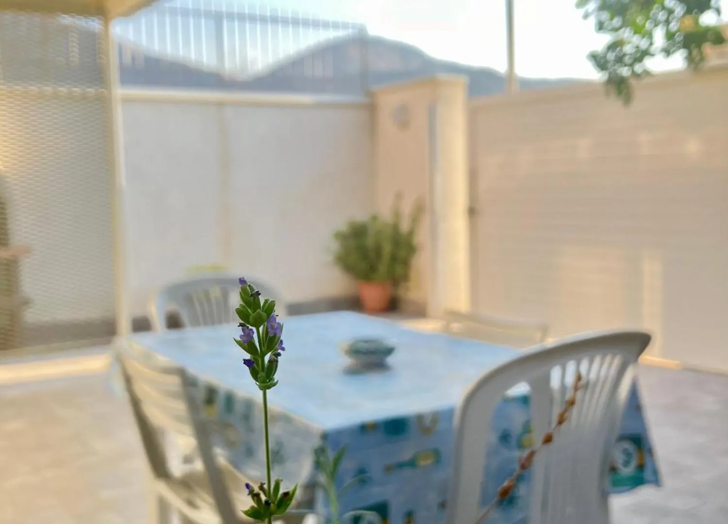 Casa vacanze Villa Itaca Palermo Italia